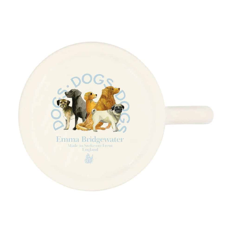 Dogs Black & Tan Dachshund