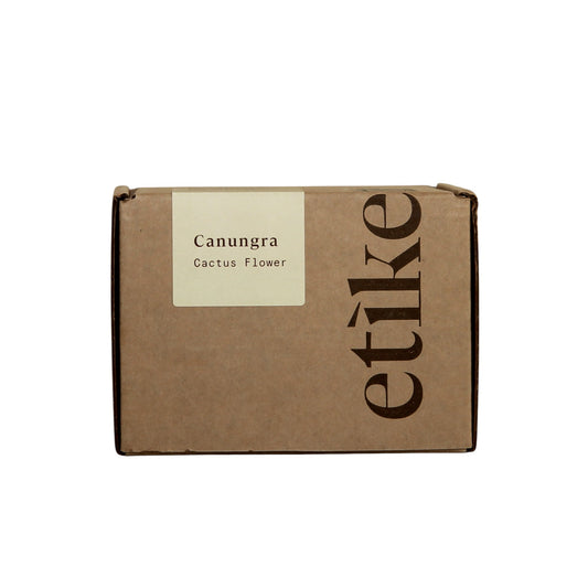 Large soy candle with cactus blossom, bergamot and freesia fragrance