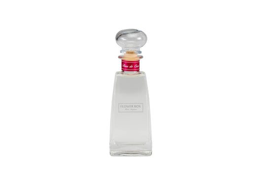 210ml coconut and guava diffuser with grey reeds – festive edition 2025
