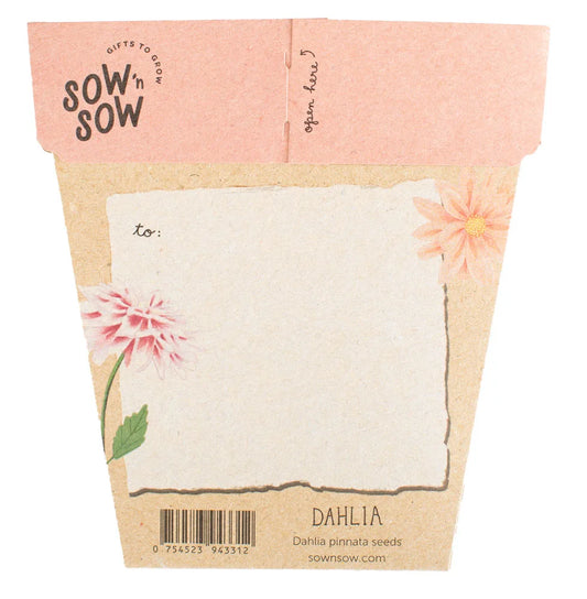 Dahlia Gift Of Seeds