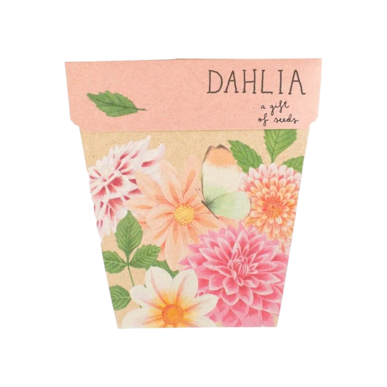 Dahlia Gift Of Seeds