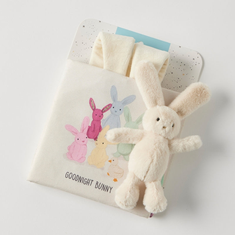 Jiggle & Giggle Goodnight Bunny Activity Fabric Book and plush toy set.