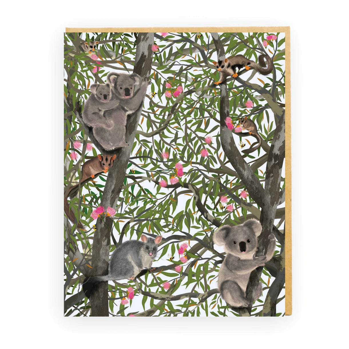 Australian koala's and possoms sitting in a gum tree