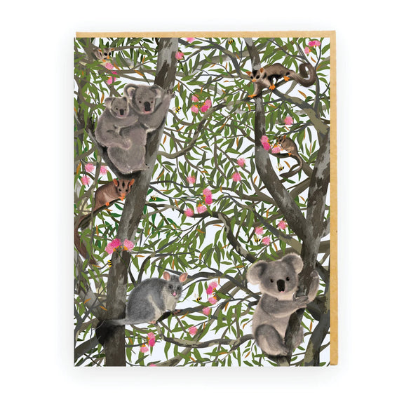 Australian koala's and possoms sitting in a gum tree