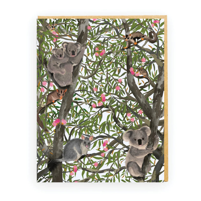 Australian koala's and possoms sitting in a gum tree