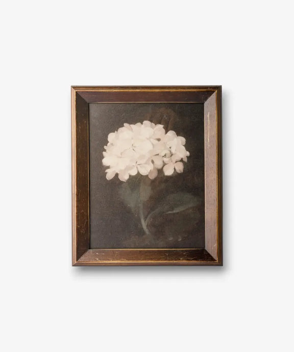 Framed hydrangea wall art featuring a vintage botanical illustration with rich tones and floral detail.