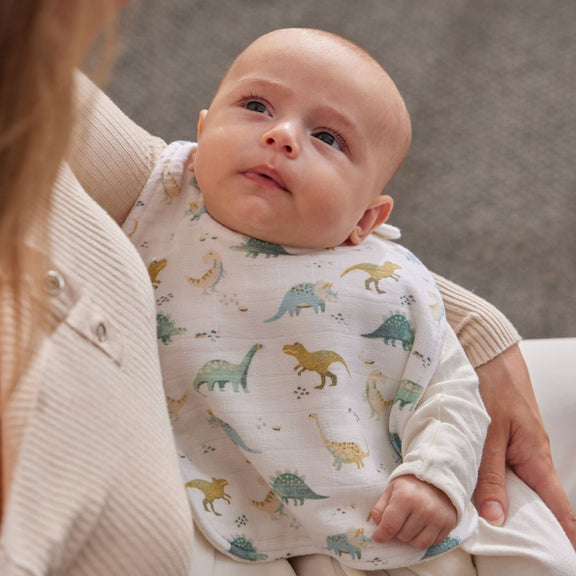 baby bibs set of 2 dinosaurs natural fibres bib