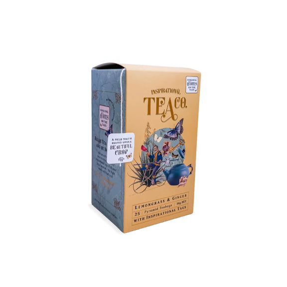Box of lemongrass and ginger pyramid teabags with tag messages