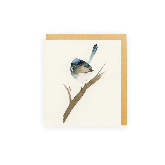 mini blue fairy wren card - bird greeting card