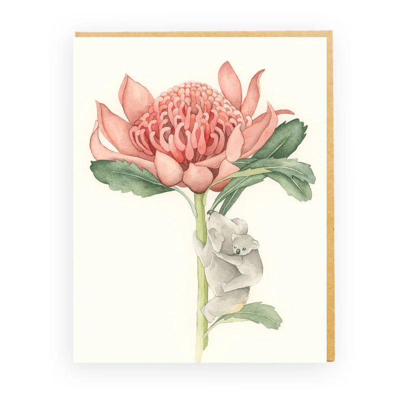 Illustration of a pink protea flower with green leaves on a white background