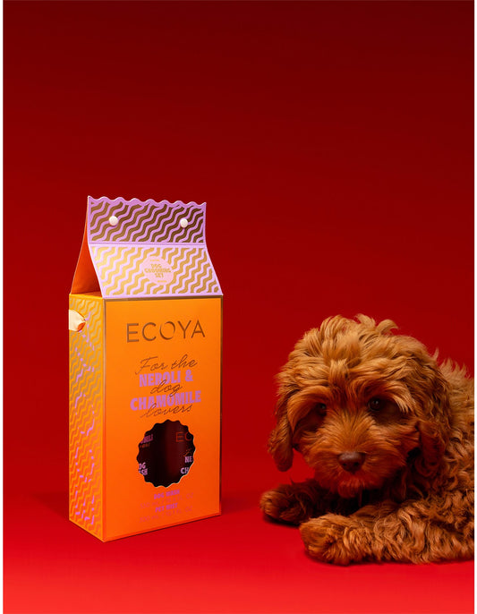 Luxury dog wash and pet mist gift set