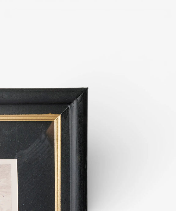 vintage botanical wall art