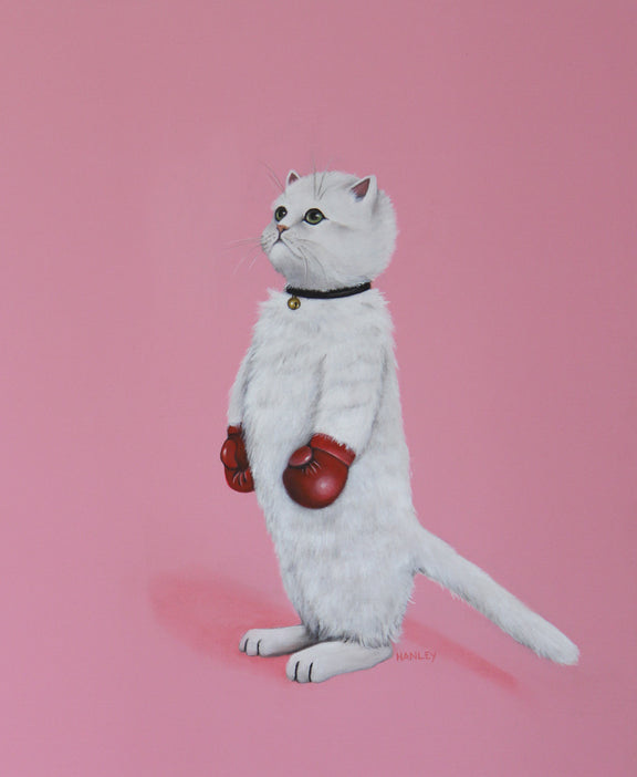 White cat wearing red boxing gloves on a pink background