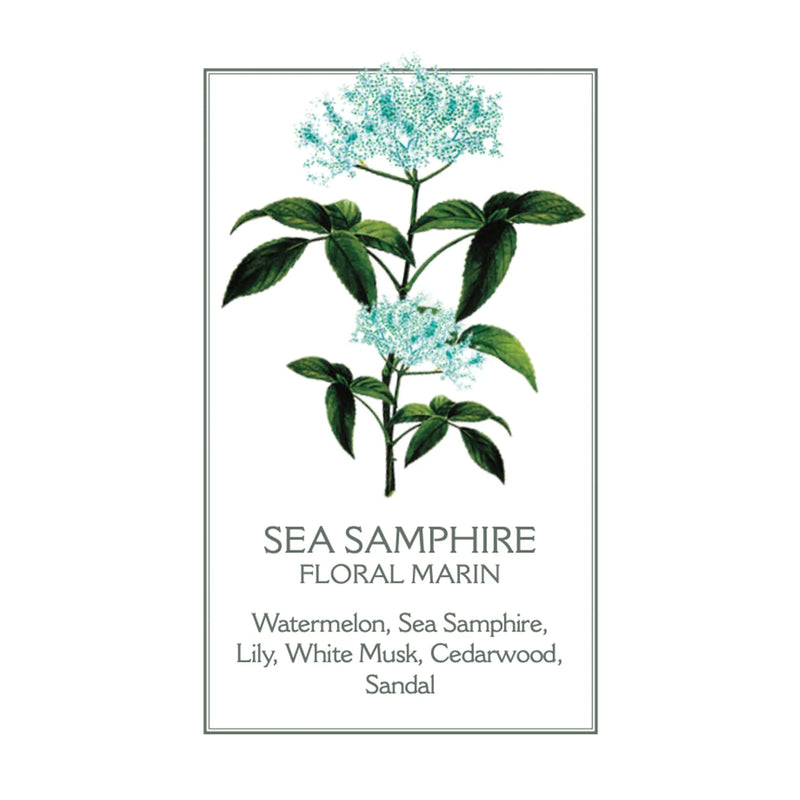 Panier des Sens Sea Samphire Hand Cream 75ml