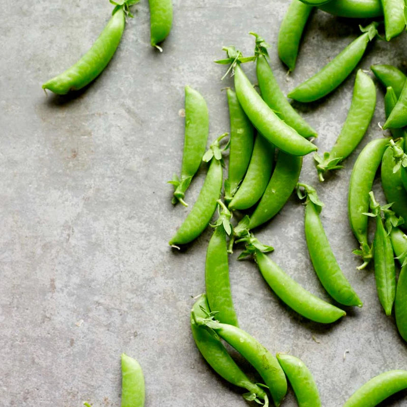 snap sugar bon pea grown from seeds