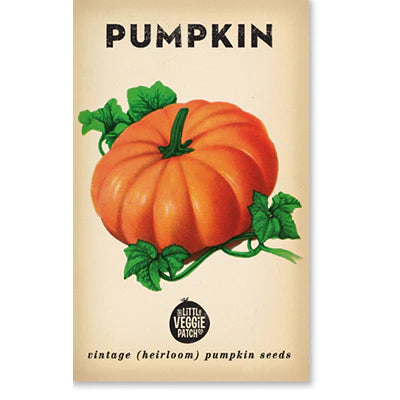 small sugar pumpkin heirloom seeds