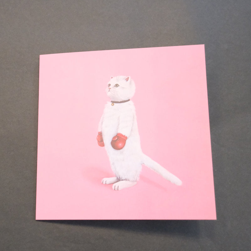 greeting card - pussy power - cat wearing boxing gloves on pink background