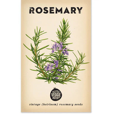 rosemary herb seeds garden