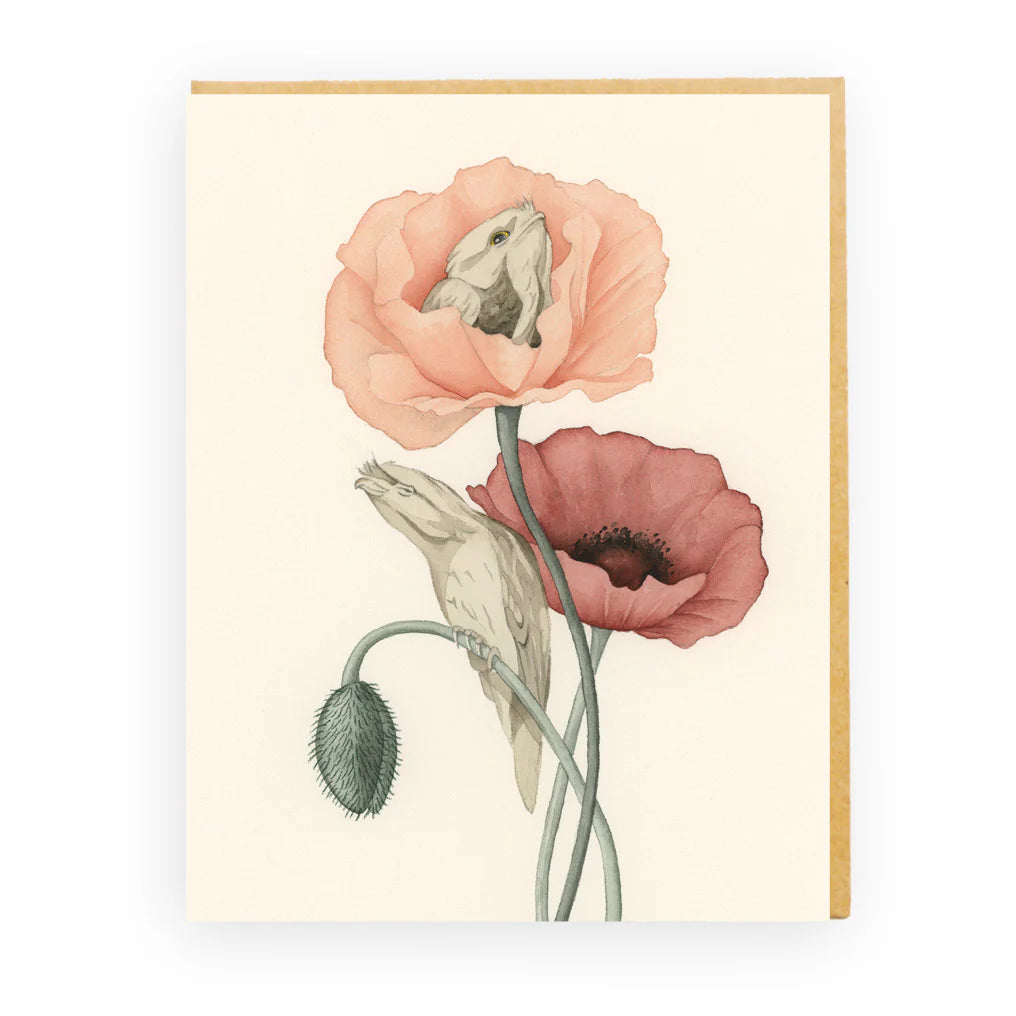 tawny bird poppy card australia
