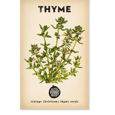 summer thyme heirloom seeds