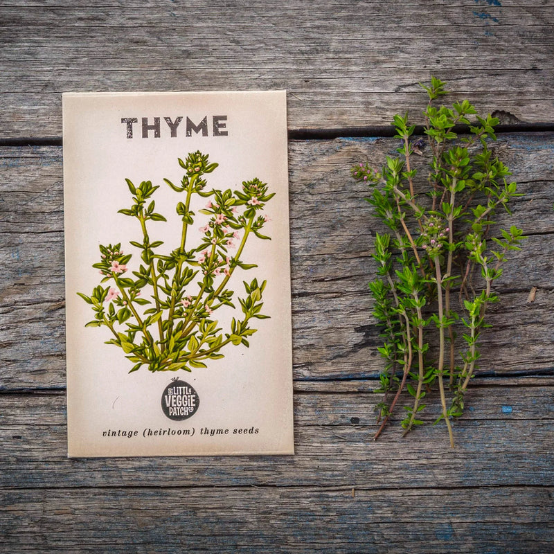 Heirloom Thyme seeds - The Little Veggie Patch Co.