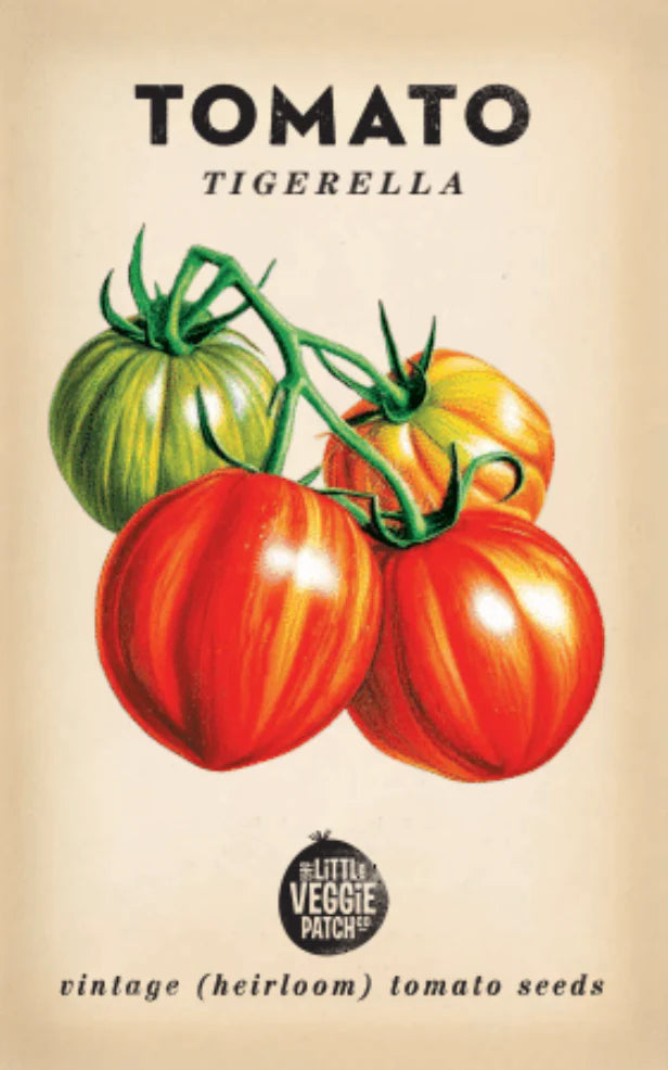 striped tomato heirloom seeds