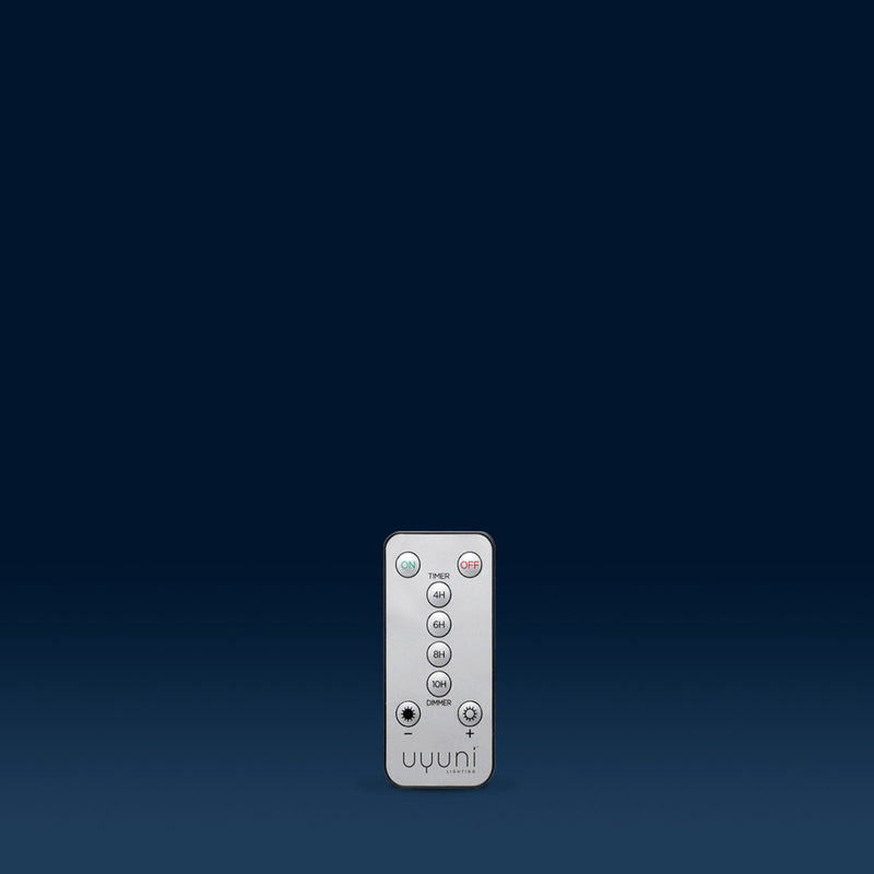 Lighting Standard Remote- Silver