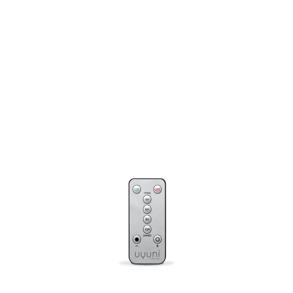 Uyuni Lighting standard remote silver