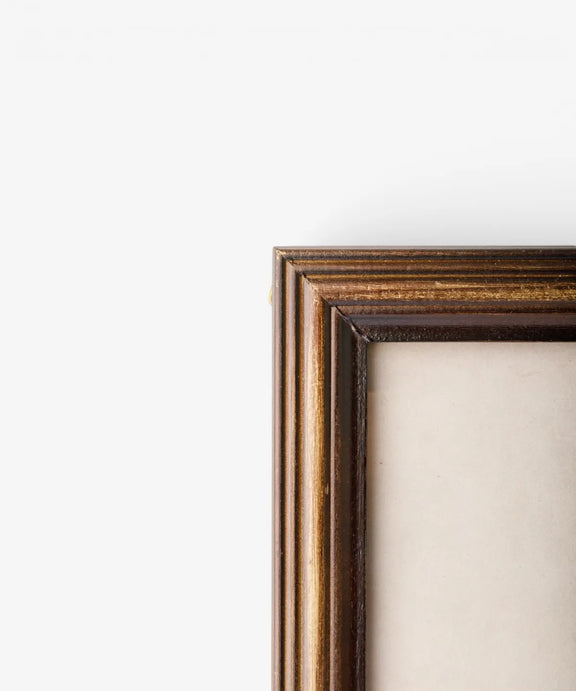 Framed poplar tree illustration wall art with classic botanical design and layered vintage character.