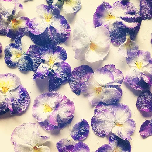 viola seeds garden australia - edible