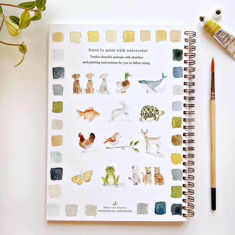 Animals Watercolour Workbook with pre-outlined animal paintings