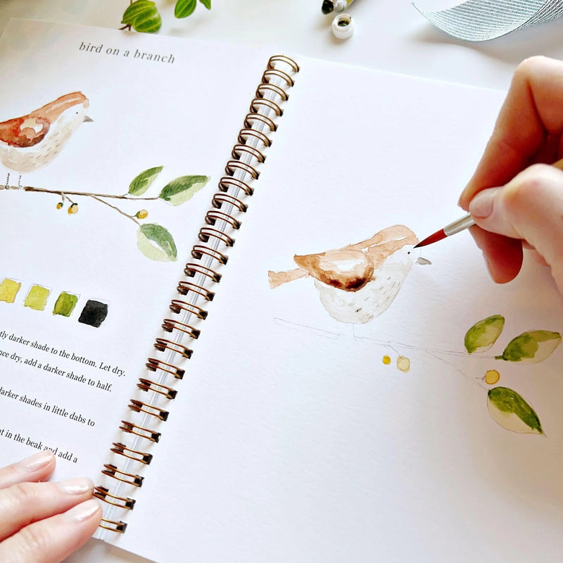 Creative watercolour activity book with twelve animal illustrations