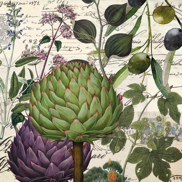 Taorimna (Artichoke)