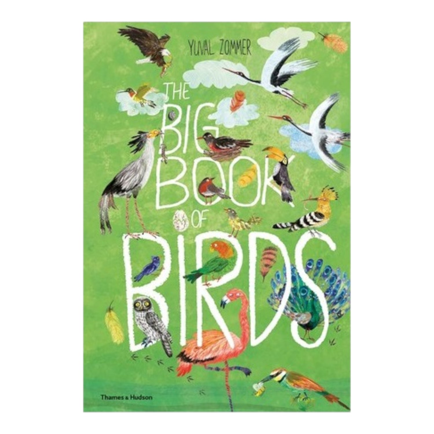 The Big Book of Birds