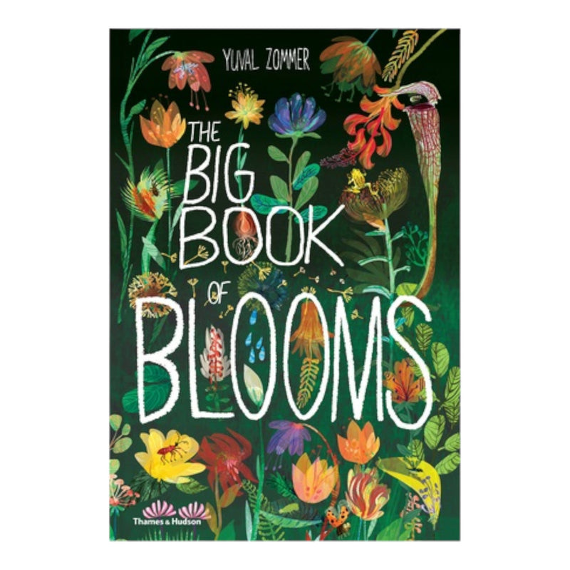The Big Book of Blooms children’s book Australia