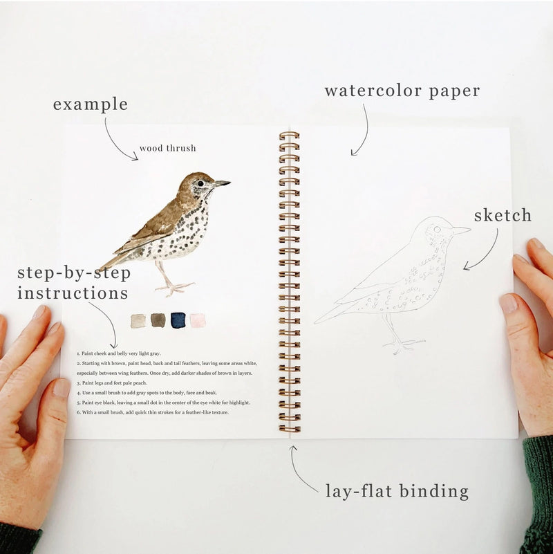Emily Lex Studio Birds Watercolour Workbook creative painting book