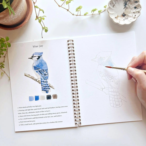 Birds Watercolour Workbook with twelve bird painting illustrations