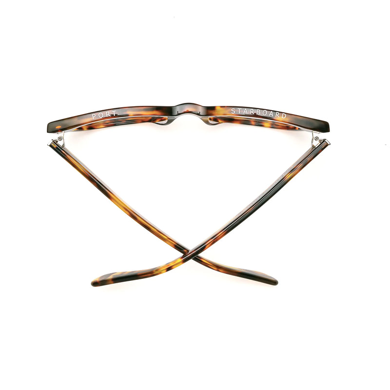 Miklos Polished Terrapin statement reading glasses