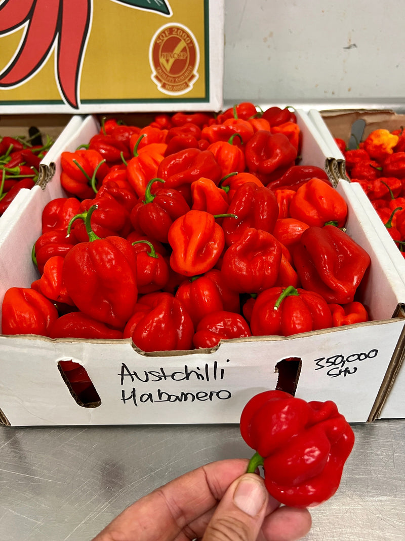 Hot Hot Sauce With Green Apple & Smoked Habanero 140ml