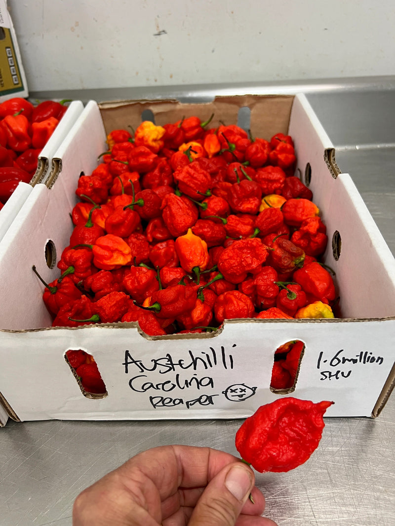 Hot Hot Hot Sauce Roasted Pepper & Smoked Carolina Reaper 240ml
