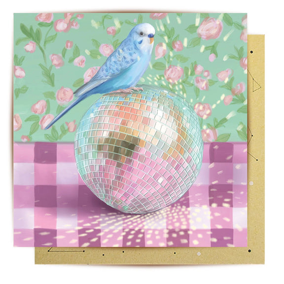 La La Land Disco Ball Budgerigar budgie greeting card