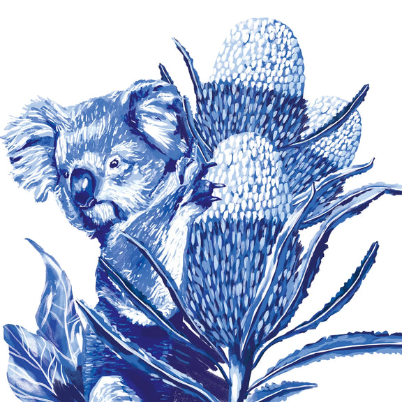Australian koala greeting card with native banksia flower