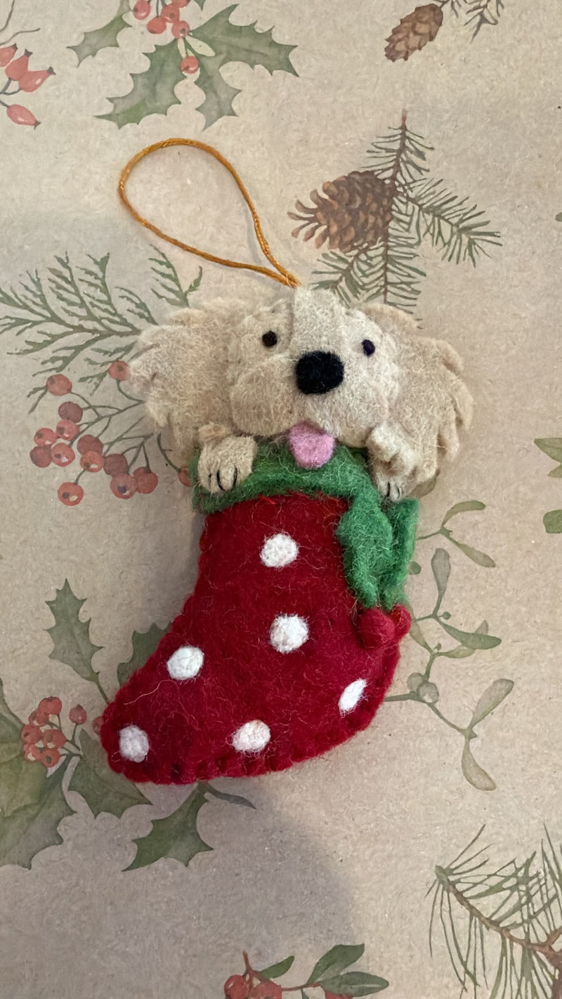 Pashom Golden Retriever in Stocking felt Christmas decoration