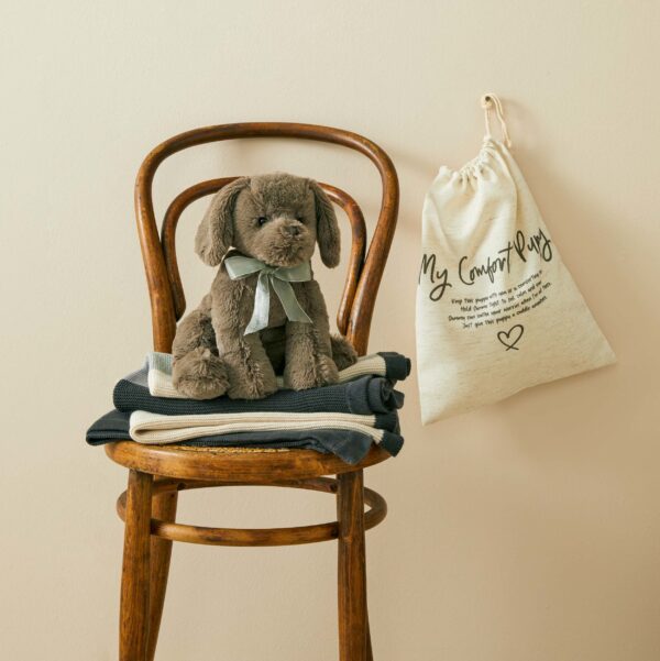 soft toy puppy with pouch